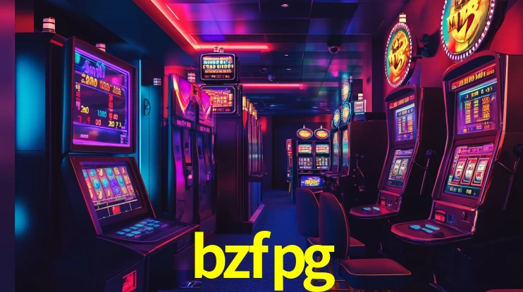 Premium Interface bzfpg